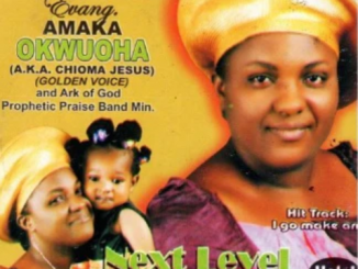 Amaka Okwuoha - Next Level, Vol. 1