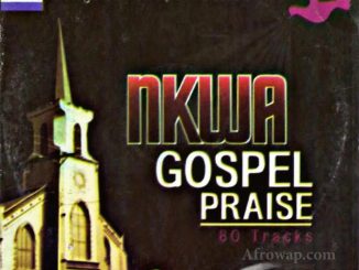 Nigeria Gospel Series - Nkwa Gospel Praise