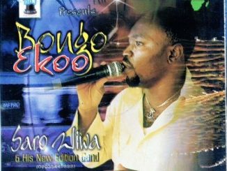 Saro Wiwa - Bongo Ekoo