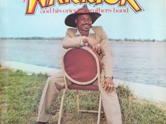 Sir Warrior - Jide Nkegi